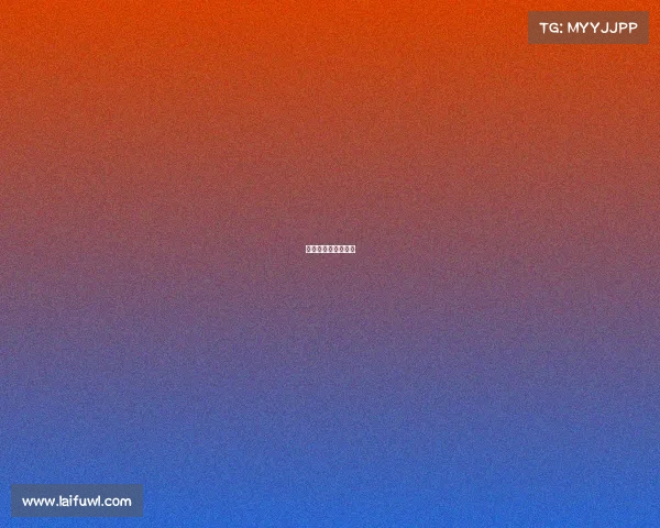 公园排球赛事有哪些